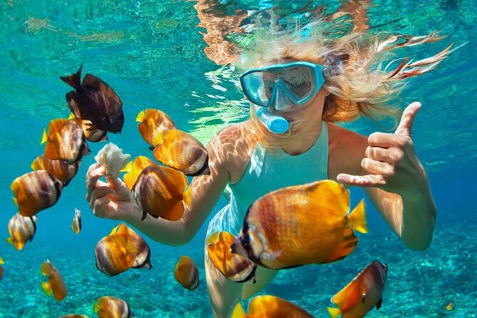 1 Hour Private Snorkeling Activity In Montego Bay - Key things to know before you go