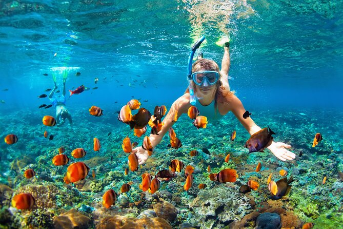 1 Hour Private Snorkeling Activity In Montego Bay - Camera Tips That Actually Help in Caribbean Water