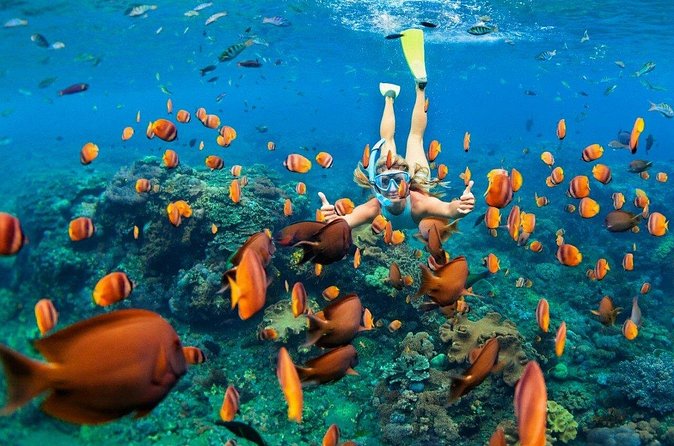 1 Hour Private Snorkeling Activity In Montego Bay - Price and Value: What $110 Buys You (And What It Doesn’t)