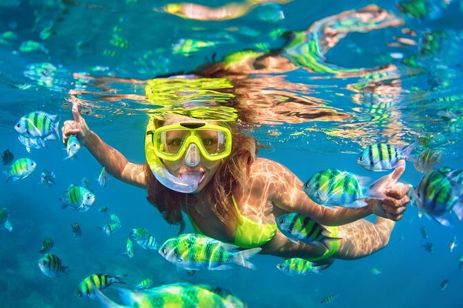 1 Hour Private Snorkeling Activity In Montego Bay - What Your Day Looks Like, Step by Step