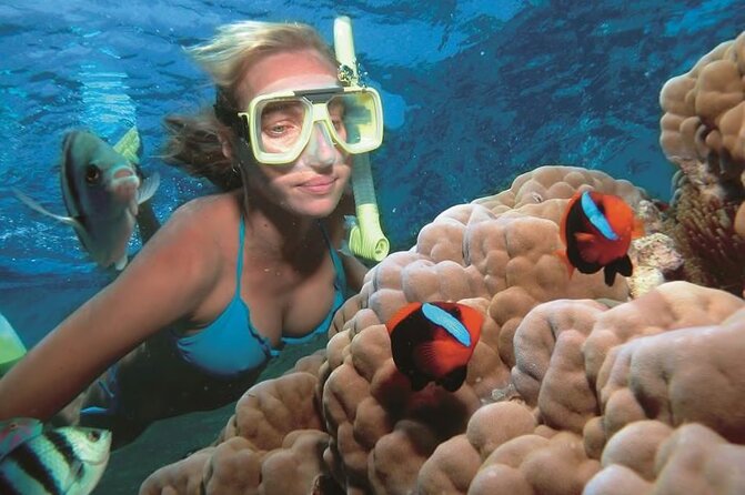 1 Hour Private Snorkeling Activity In Montego Bay - Who This Snorkeling Trip Fits Best