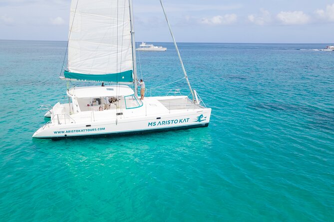 3.5hr Private Catamaran Cruise with Snorkeling, DJ, Bar, Food - Snacks and hors d’oeuvres: included, but don’t expect a full meal