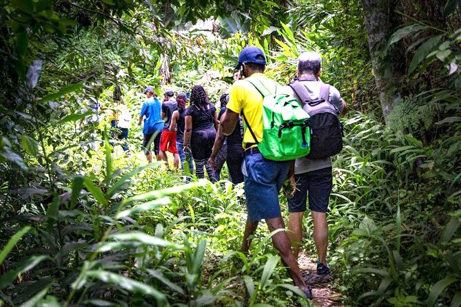 4-Hours Bike, Hike & Waterfall Tour in Blue Mountain with Lunch and Pick Up - Key Highlights Worth Caring About