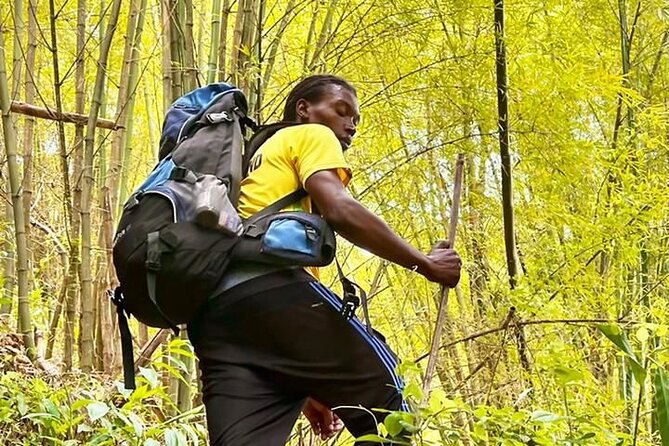 4-Hours Bike, Hike & Waterfall Tour in Blue Mountain with Lunch and Pick Up - The 2.2-Mile Blue Mountain Climb And What Makes It Worth It