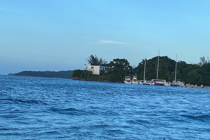 4 Hours Party Boat Catamaran Cruise in Negril - Ricks Cafe Finale: Vibe, Optional Cliff Activity, and a Smooth Return