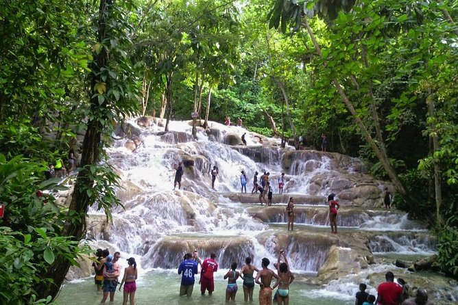 6. Bob Marley 9miles/Dunn's River Private Tour(420 Friendly)final resting place - The Private Tour Advantage: It’s Your Group, Your Timing, Your Style
