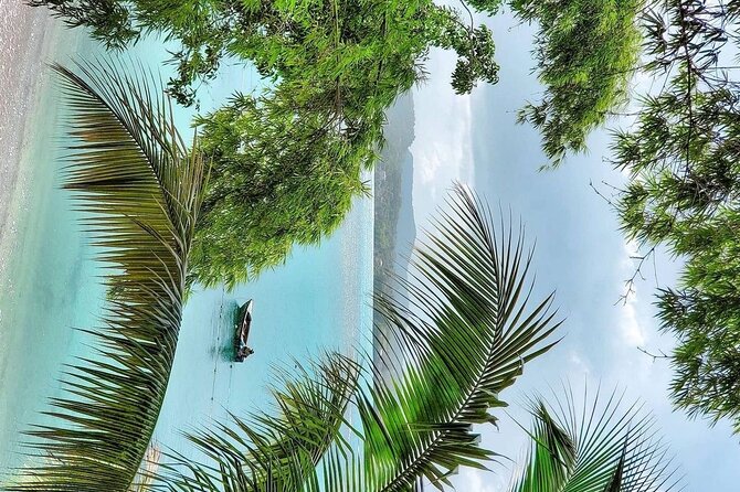 A "Private" Airport Transfer to Grand Palladium Resort - The Driver Factor: What Makes This Transfer Feel Smooth