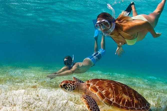 Adventurous-Snorkeling With Sightseeing of Montego Bay - Quick reasons this tour earns strong ratings