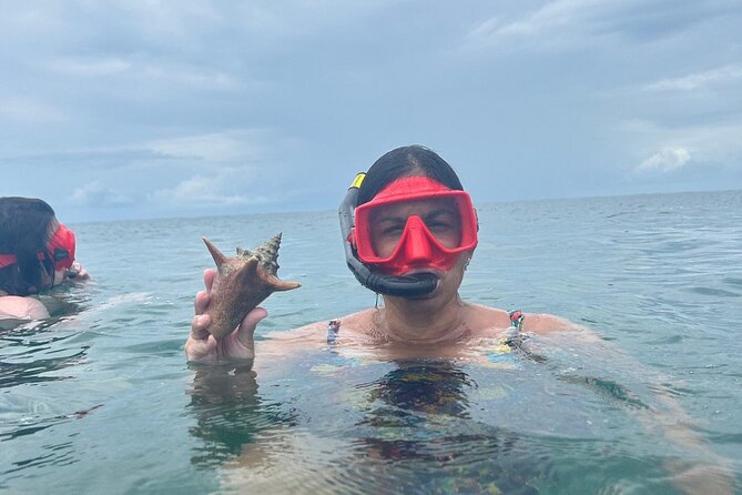 Adventurous-Snorkeling With Sightseeing of Montego Bay - Coral reefs and ocean life: what you are really paying for