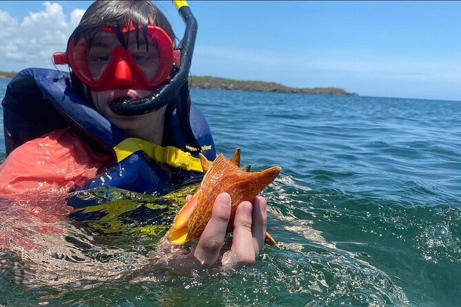 Adventurous-Snorkeling With Sightseeing of Montego Bay - Price and value for a 2-hour Montego Bay snorkeling experience