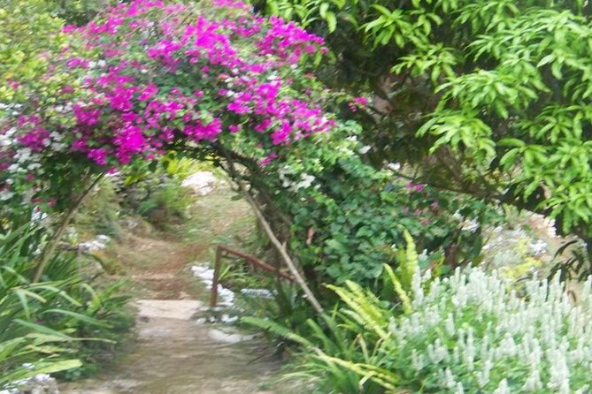 Ahhh Ras Natango Gallery and Garden Private Transfer - Who This Tour Fits Best (and Who Might Not Love It)
