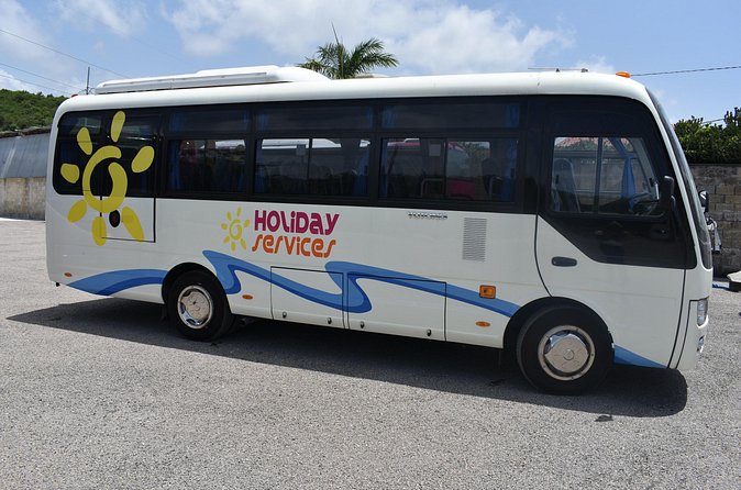 AirBnB/Hotel MBJ Airport Shuttle to all areas -one way/round trip - Who Should Book This MBJ to Ocho Rios Shuttle?