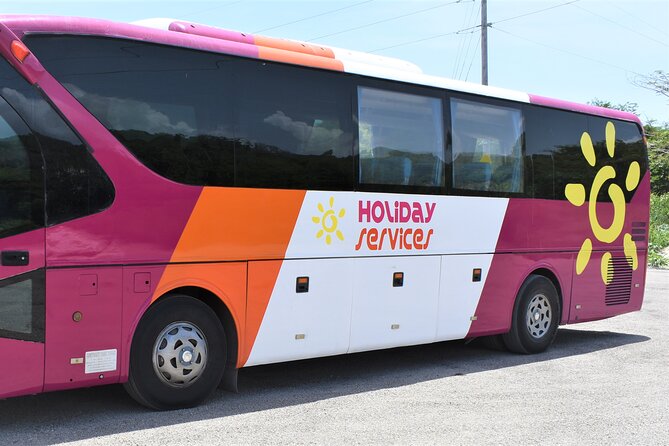 Airport Shuttle from Montego Bay (MBJ) to Hotel - Comfort and Heat: What to Expect in an Air-Conditioned Van