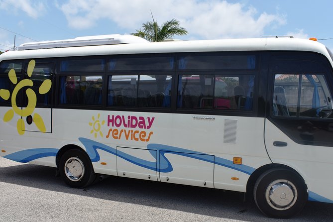 Airport Shuttle from Montego Bay (MBJ) to Hotel - Driver Service Style: Courtesy, Timing, and Getting Help Fast