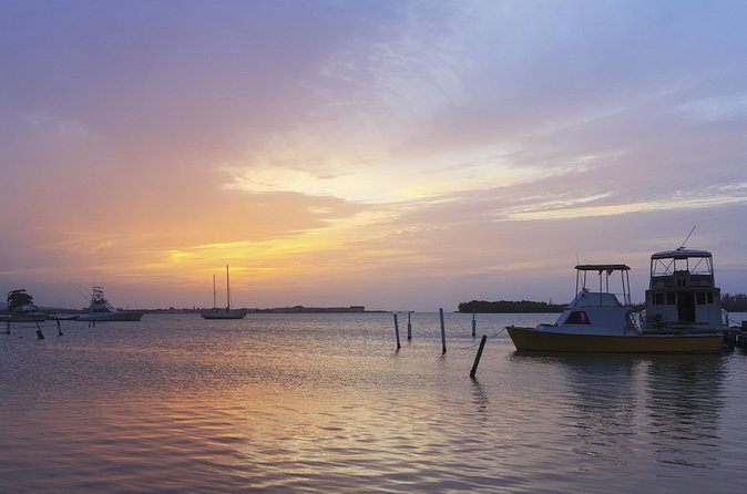 An Evening on the Lagoon: Martha Rafting, Luminous Lagoon and Falmouth Highlight - Price, Group Size, and Why $240 Can Be Worth It