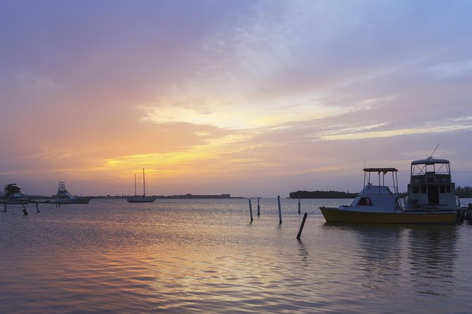 An Evening on the Lagoon: Martha Rafting, Luminous Lagoon and Falmouth Highlight - Bamboo Rafts on the Martha Brae, Calm River Time