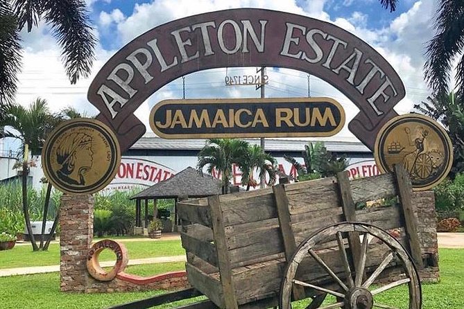 Appleton Estate Rum Private Tour - The free take-home bottle: why this bonus is more than a nice perk
