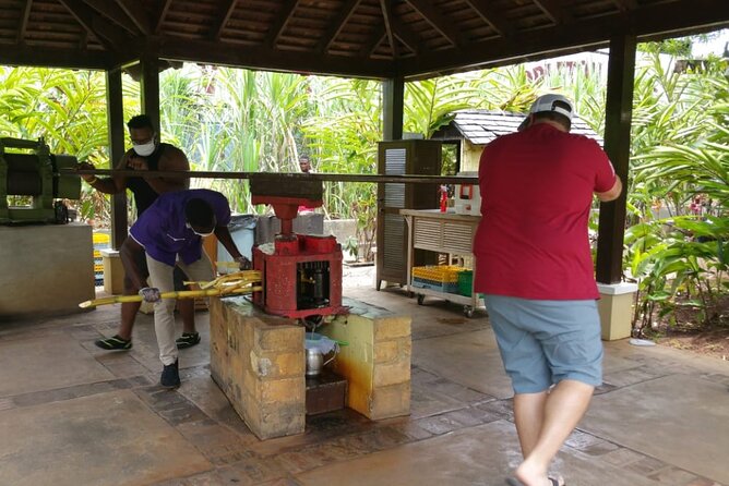 Appleton Estate Rum Tour and Pelican Bar Customize Tour - Appleton Estate Rum Tour: Built in 1749, Plus Donkey Grinding