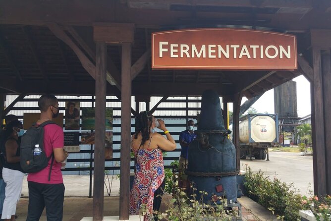 Appleton Estate Rum Tour and Pelican Bar Customize Tour - Who This Tour Suits Best (and Who Should Rethink It)