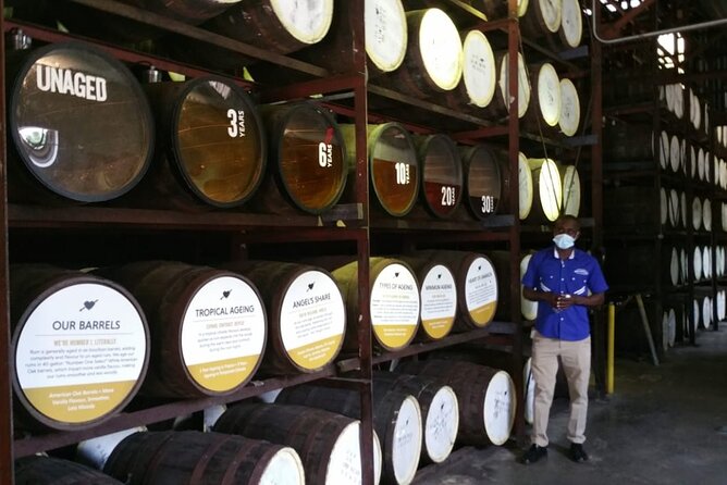 Appleton Estate Rum Tour and Pelican Bar Customize Tour - Should You Book This Appleton and Pelican Bar Day Tour?