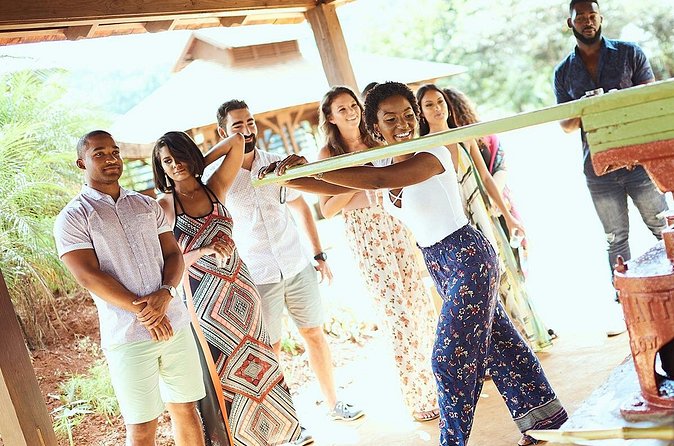 Appleton Estate Rum Tour and Tasting from Kingston - Who this tour suits best