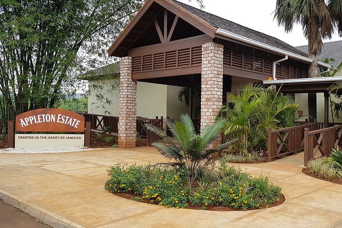 Appleton Estate Rum Tour and Tasting from Negril - The 45-minute guided distillery walk: copper stills, aging house, and fermentation clues