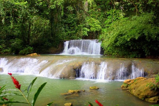Appleton Estate, Ys Falls and Black River Safari Private Tour - What 6 to 8 Hours Feels Like (And How to Plan)