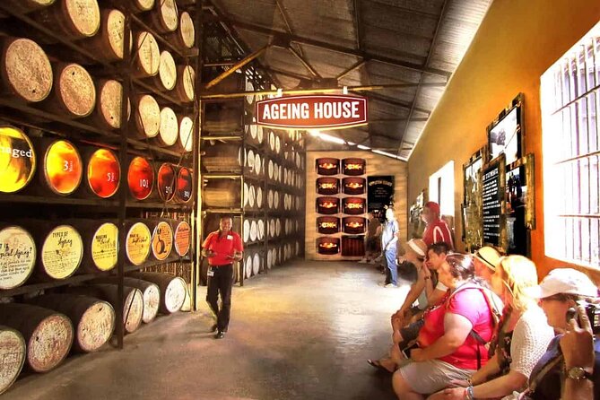 Appleton Estate, Ys Falls and Black River Safari Private Tour - Comfort and Value: Transport, Private Time, and Tickets Included
