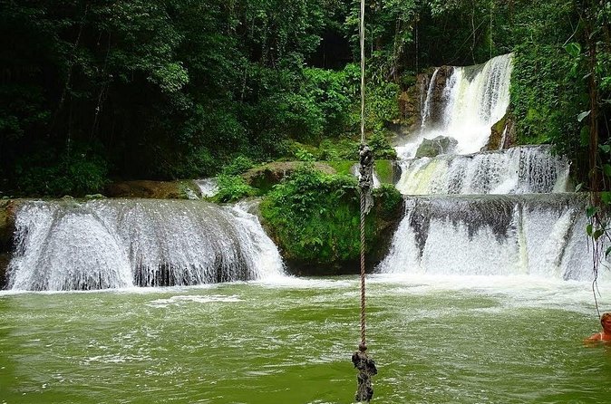 Appleton Estate, Ys Falls and Black River Safari Private Tour - Timing Tips: How to Keep the Day from Feeling Too Long