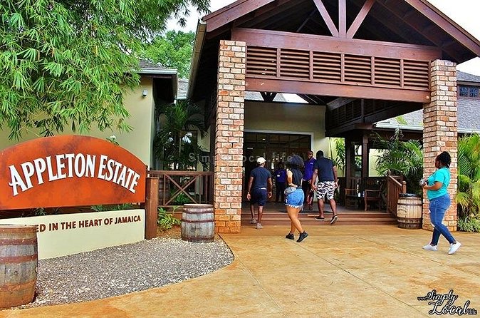 Appleton Estate, Ys Falls and Black River Safari Private Tour - Who This Tour Suits Best (And Who Might Want Another Option)
