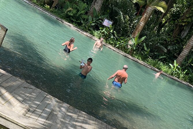 Appleton estate,YS Falls,Black River Safari,Pelican Bar(any 3of4) - Black River Safari by Boat: Wildlife Spotting on Jamaica’s Longest River