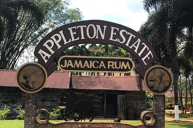 Appleton Rum Factory, YS Falls, and Reggae Horseback Ride & Swim Combo Tour - Why an all-in-one Negril combo day saves you stress
