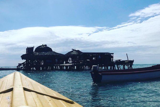 Appleton Rum Factory, Ys Falls, Black River Safari, Floyd’s Pelican Bar - Appleton Rum Factory, YS Falls, Black River, Pelican Bar: the best kind of packed day