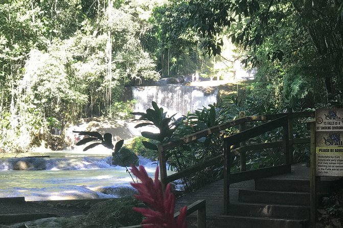 Appleton Rum Factory, Ys Falls, Black River Safari, Floyd’s Pelican Bar - Lunch and timing: how to survive a 6 to 8 hour schedule