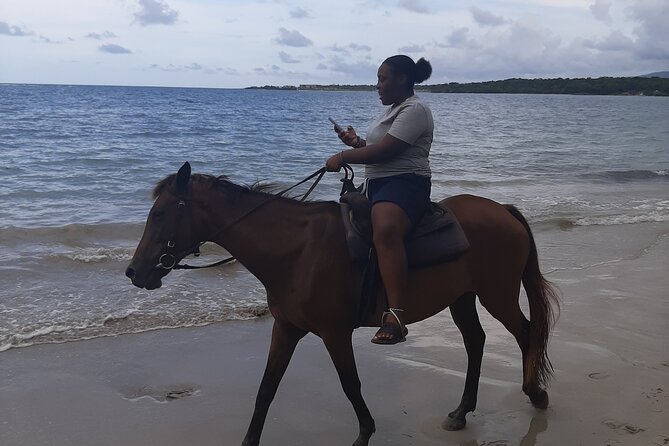 Aqua Fun Tours Dunns Falls, River Tubing and Horse Back - Who should book this Aqua Fun Tours day?