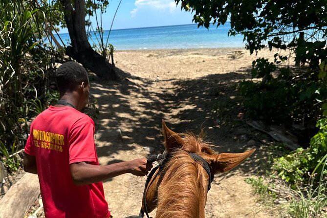 ATV, Bamboo Rafting, Horseback Ride From Montego Bay- Private - Scotchies Drax Hall: Jerk Lunch Without the Planning Headache