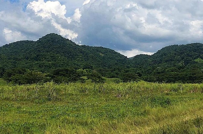 ATV Experience, cultural and social tour - Fruits, Sugar Cane, and a Ganja Field Stop