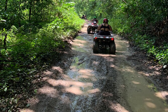 ATV Jungle Safari Tour from Montego Bay - The Usain Bolt Reference and Why It’s Tied to the Route