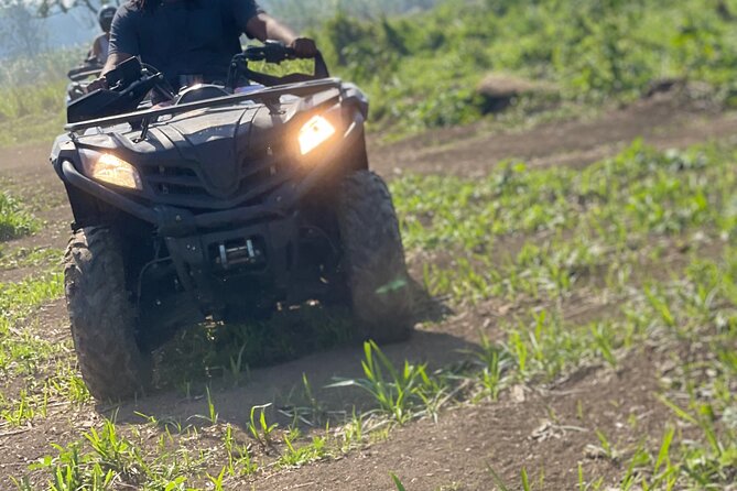 ATV, Zipline, Horseback, Bamboo Rafting and Rick’s Cafe - Horseback Riding: Enjoy the Pace, Know the 260 lb Limit