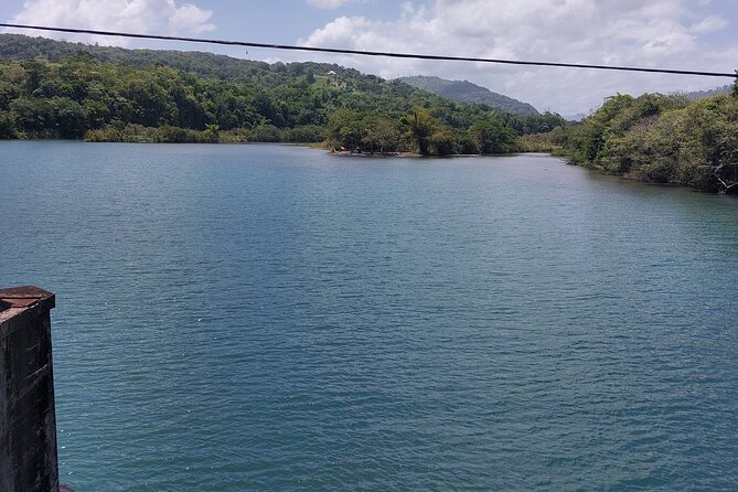 Bamboo Rafting and Boston Jerk Centre Tour in Portland Jamaica - Boston Jerk Centre in about 1 hour: lunch included, no alcohol
