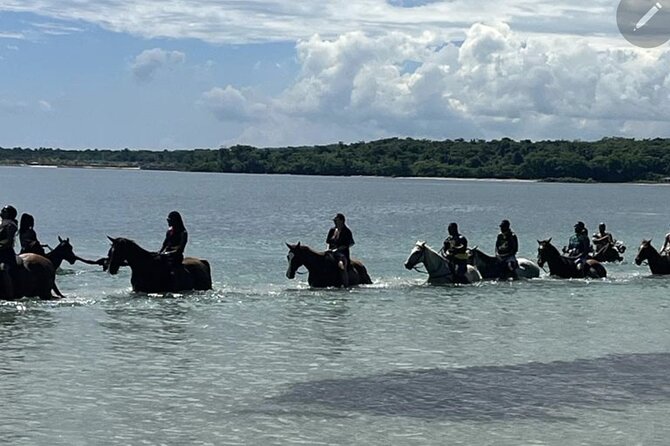 Bamboo Rafting and HorseBack Riding Excursion in OchoRios Jamaica - Key highlights