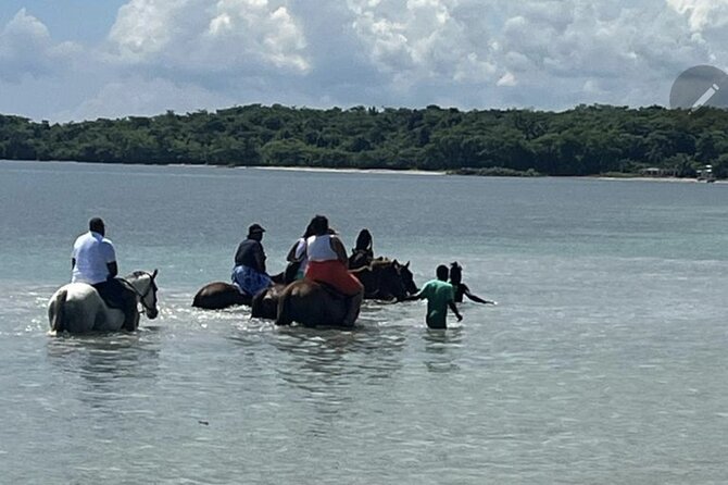 Bamboo Rafting and HorseBack Riding Excursion in OchoRios Jamaica - First, You Ride: Ocho Rios Pickup, Drive Time, and What to Expect