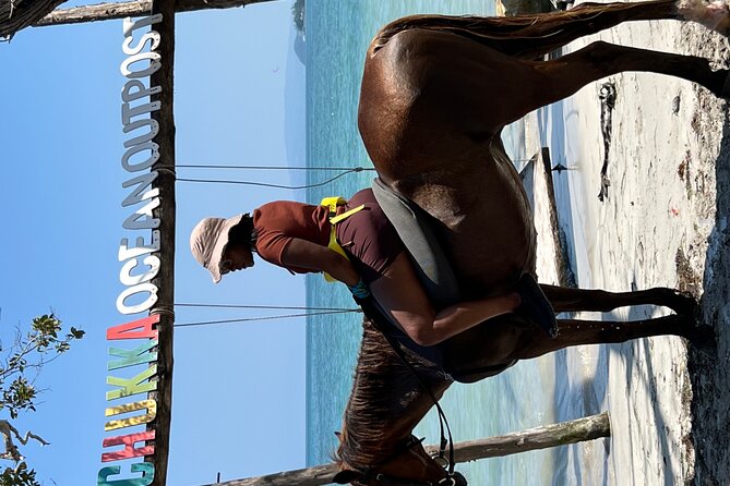 Bamboo Rafting & Horseback -dunns river Transportation Included - Value check: $299 for rafting plus horses plus transport