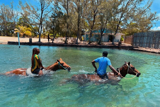 Bamboo Rafting & Horseback Ride n Swim Guided Tour In Montego Bay - Price and value: is $145 worth it for a 3 to 4 hour day?