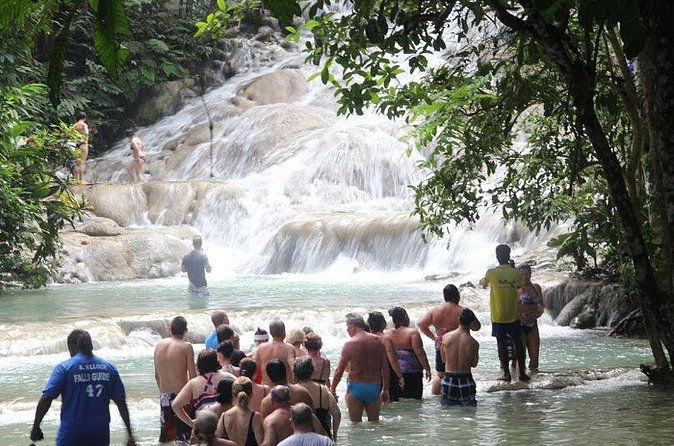 Beach Horseback Riding and Dunn’s River Falls - Time, Transfers, and How to Plan Your Day Smoothly