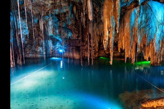 Bioluminescence Lagoon Tour from Montego Bay with Pick Up - Pickup, Welcome Cocktail, and the Small-Group Advantage