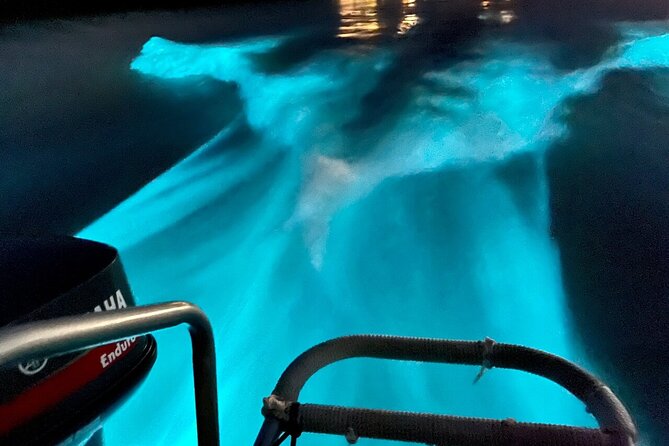 Bioluminescence Lagoon Tour from Montego Bay with Pick Up - Price, Inclusions, and the Value Logic at $105