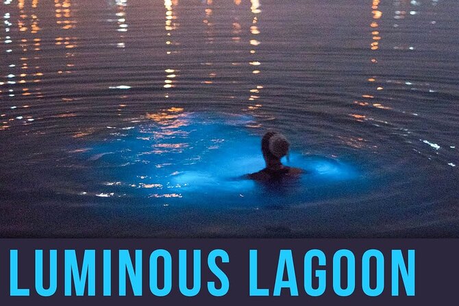Bioluminescence Lagoon Tour from Montego Bay with Pick Up - Who This Tour Fits Best (and Who Might Want Another Plan)