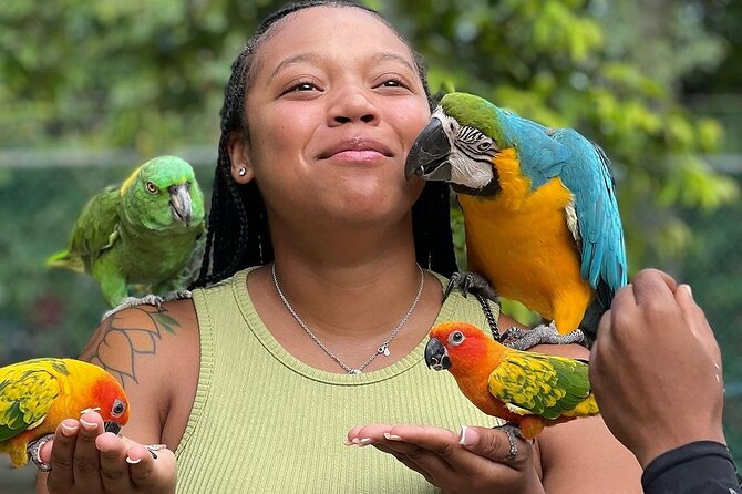 Bird Sanctuary and animal farm Day Tour - Hand-feeding hummingbirds: the fun part, and how to make it go smoothly