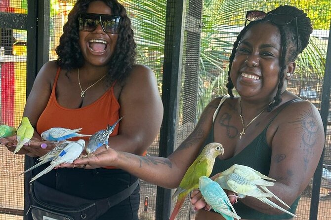 Bird Sanctuary and animal farm Day Tour - The animal farm stop: petting exotic animals without losing your time